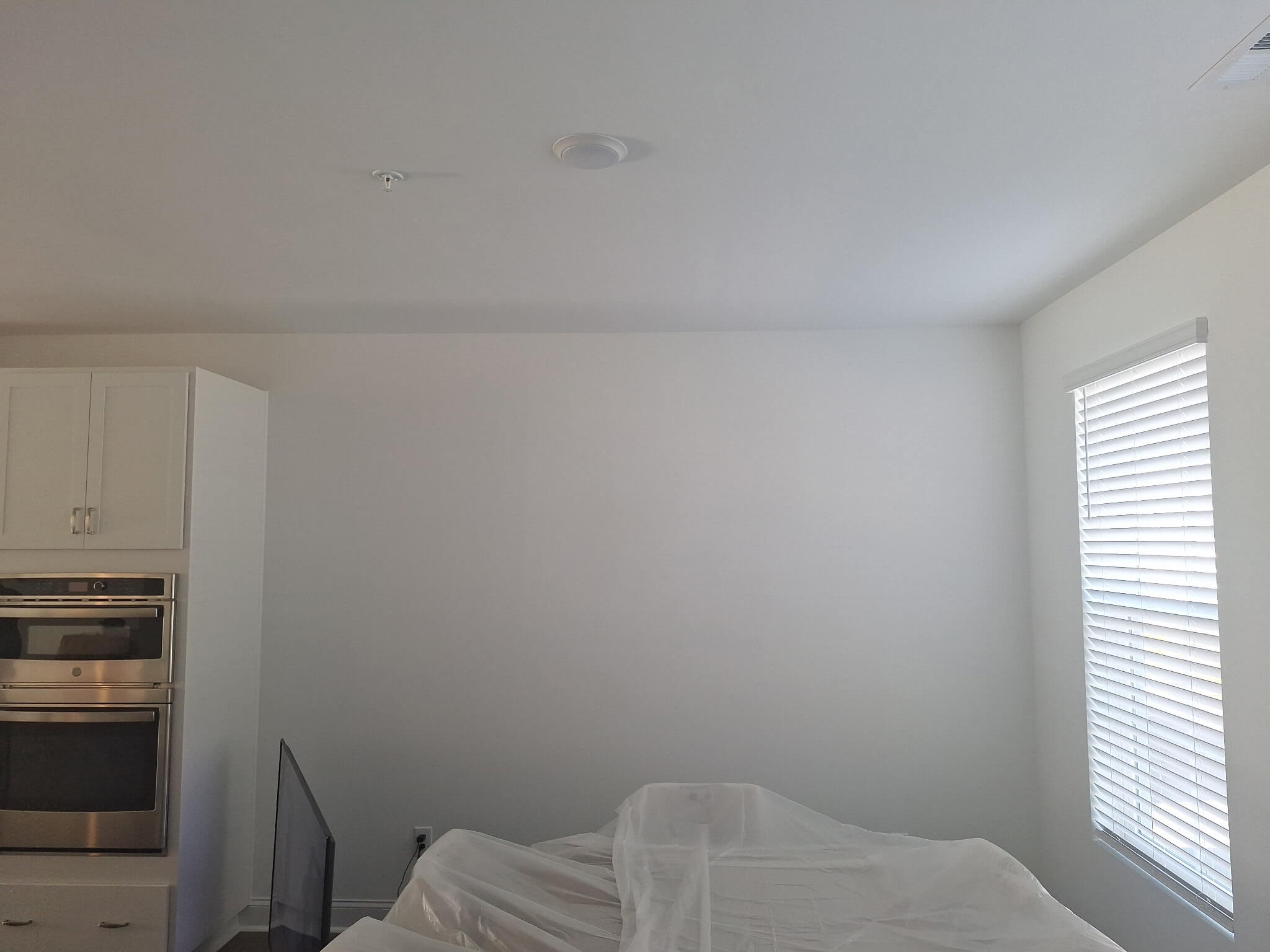 AlbisMoralesPainting-ProjectsInterior (58)