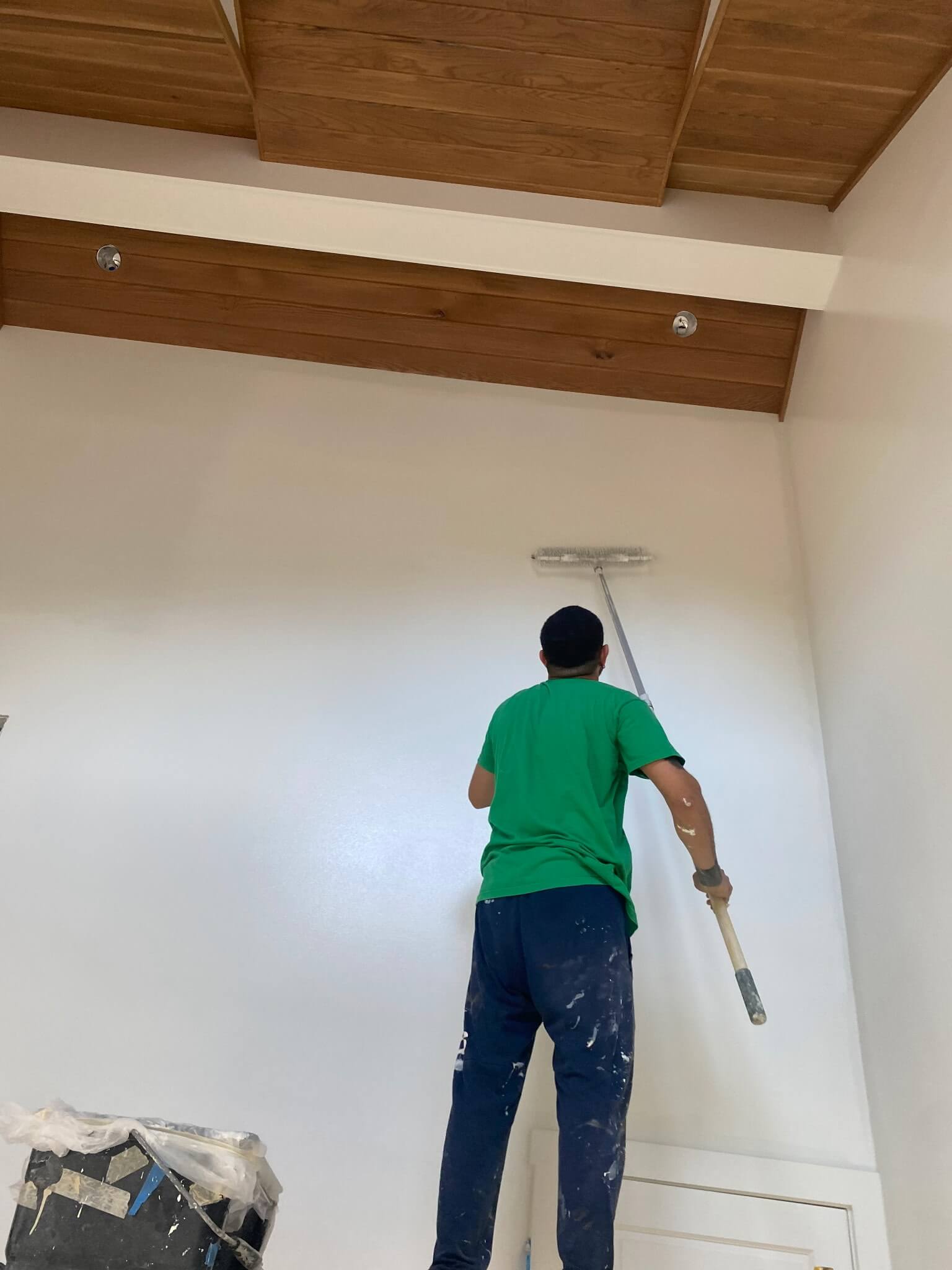 AlbisMoralesPainting-ProjectsInterior (9)